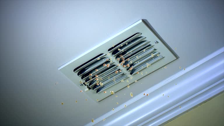 Best General Air Duct Cleaning  in Scenic, AZ